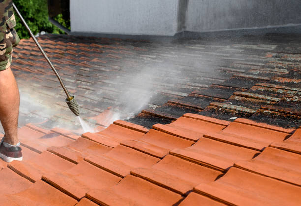 Best Deck Cleaning Services  in Trappe, PA